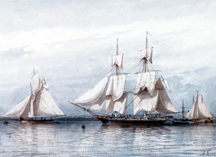 RF: 504/504_14.jpg