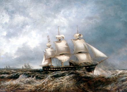RF: 504/504_15.jpg