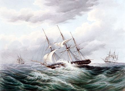 RF: 504/504_20.jpg