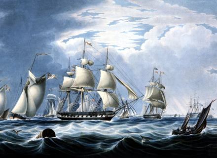 RF: 504/504_30.jpg