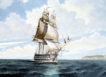 RF: 505/505_11.jpg