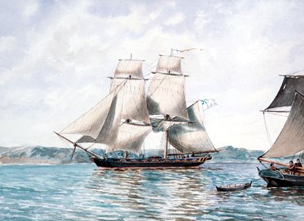 RF: 505/505_12.jpg